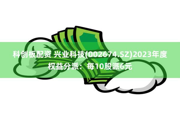 科创板配资 兴业科技(002674.SZ)2023年度权益分派：每10股派6元