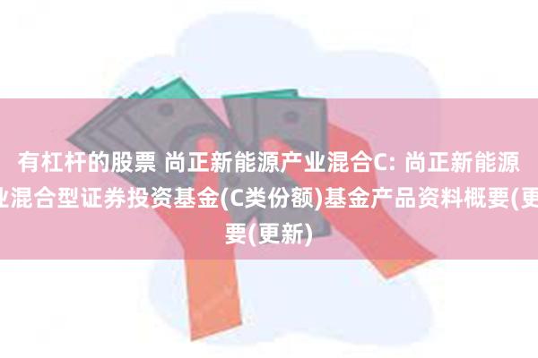 有杠杆的股票 尚正新能源产业混合C: 尚正新能源产业混合型证券投资基金(C类份额)基金产品资料概要(更新)