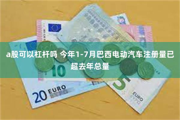 a股可以杠杆吗 今年1-7月巴西电动汽车注册量已超去年总量