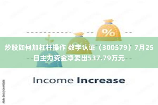 炒股如何加杠杆操作 数字认证（300579）7月25日主力资金净卖出537.79万元