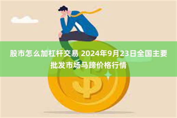 股市怎么加杠杆交易 2024年9月23日全国主要批发市场马蹄价格行情