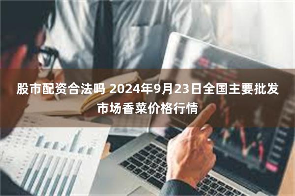 股市配资合法吗 2024年9月23日全国主要批发市场香菜价格行情