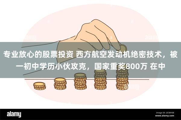 专业放心的股票投资 西方航空发动机绝密技术，被一初中学历小伙攻克，国家重奖800万 在中