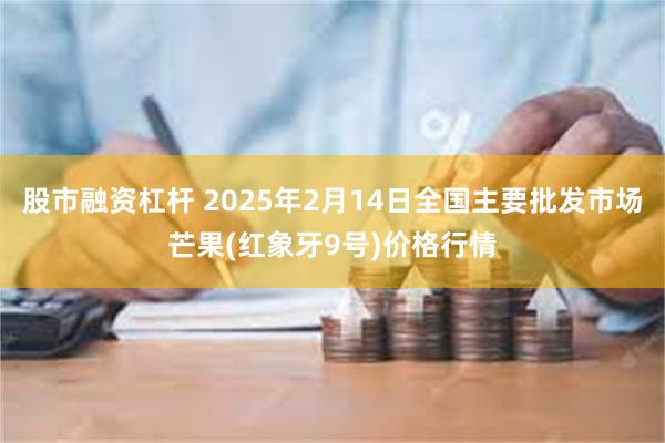 股市融资杠杆 2025年2月14日全国主要批发市场芒果(红象牙9号)价格行情